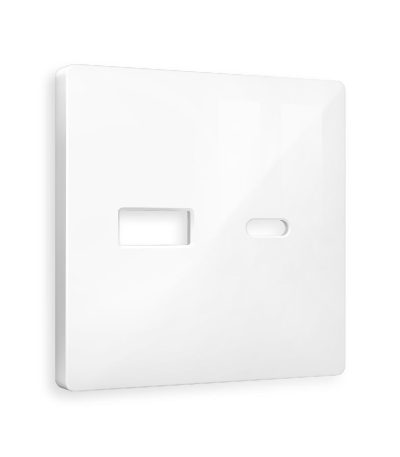 Лицевая панель для розетки 2USB тип A+C Ambrella Volt Alfa AP1110