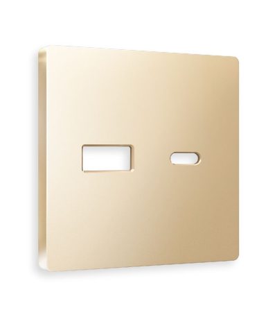 Лицевая панель для розетки 2USB тип A+C Ambrella Volt Alfa AP6110