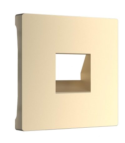 Лицевая панель Werkel розетки RJ45 и RJ11 глянцевый никель WL02-RJ-CP 4690389100406