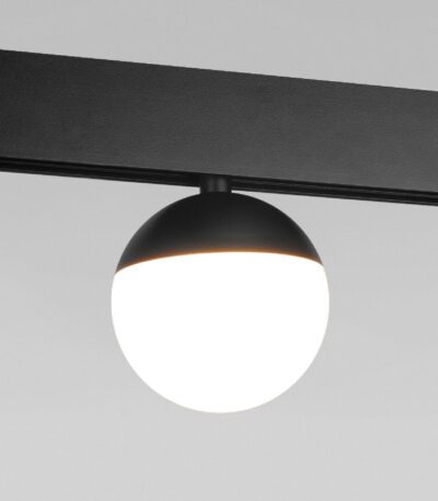 Магнитный трековый светильник Elektrostandard Neid 4690389190834 a062124