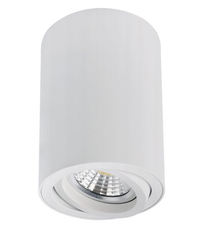 Накладной светильник Arte Lamp Sentry A1566PL-1WH