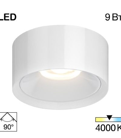 Накладной светильник Citilux Rover CL743090N