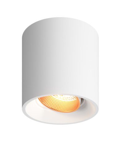 Накладной светильник Denkirs Dk3040 DK3090-WBR