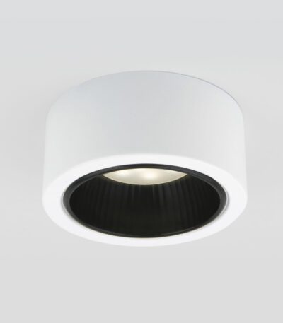 Накладной светильник Elektrostandard 1070 4690389182563