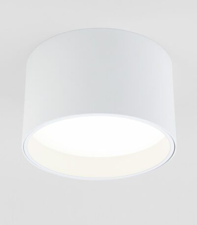 Накладной светильник Elektrostandard Banti 4690389183980