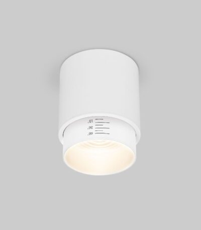 Накладной светильник Elektrostandard Cors 4690389192173 a062385