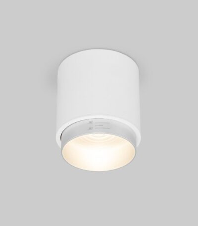 Накладной светильник Elektrostandard Cors 4690389192180 a062387