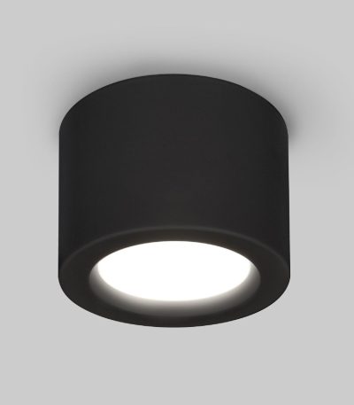 Накладной светильник Elektrostandard DLR026 4690389196676 DLR026 a063934