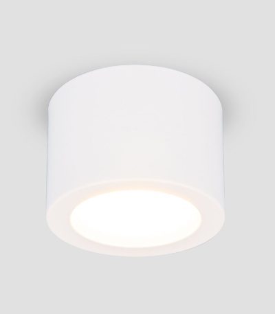 Накладной светильник Elektrostandard Dlr026 4690389196683 a063935