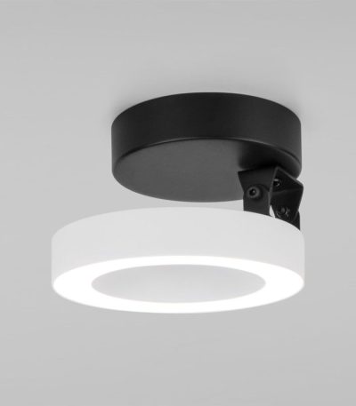 Накладной светильник Elektrostandard Spila 4690389187513 a060166