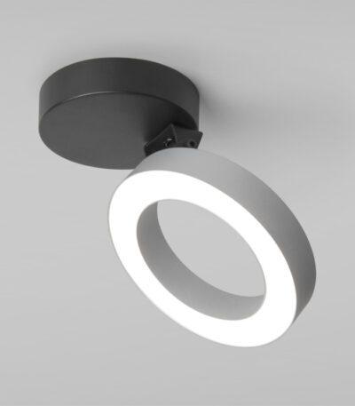 Накладной светильник Elektrostandard Spila 4690389187551 a060186