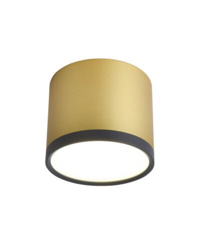 Накладной светильник Favourite Baral 3082-2C