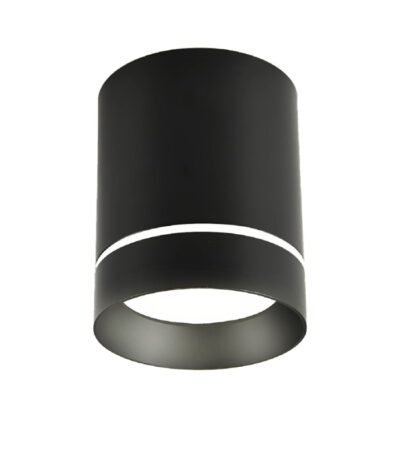 Накладной светильник Favourite Darar 3063-1C