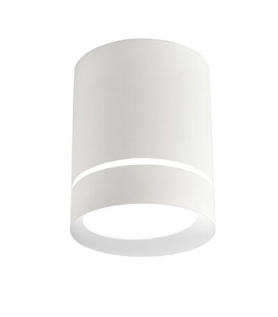 Накладной светильник Favourite Darar 3064-1C