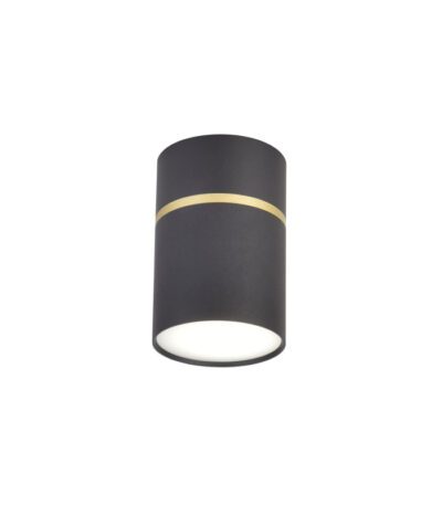 Накладной светильник Favourite Dunia 3068-1C