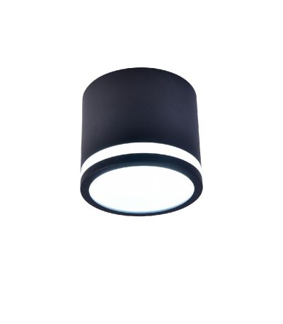 Накладной светильник Favourite Festum 4212-1C