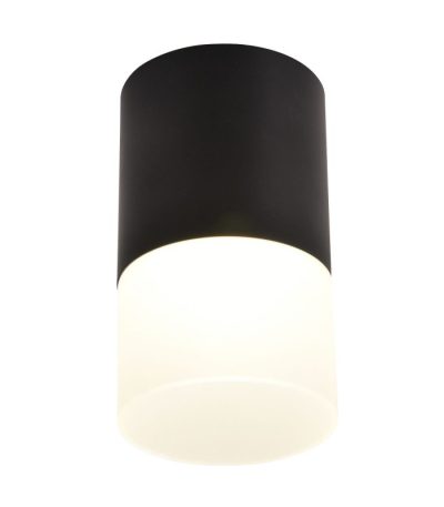 Накладной светильник Favourite Naram 3070-1C