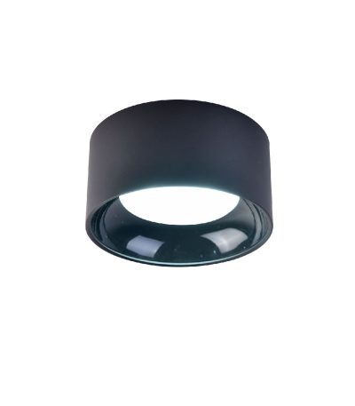 Накладной светильник Favourite Rout 4210-1C