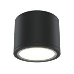 Накладной светильник Maytoni Rendo C095CL-GX53-B