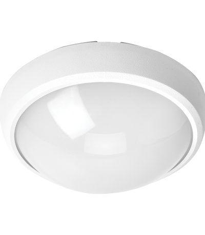 Настенно-потолочный светильник Feron AL3014 51163