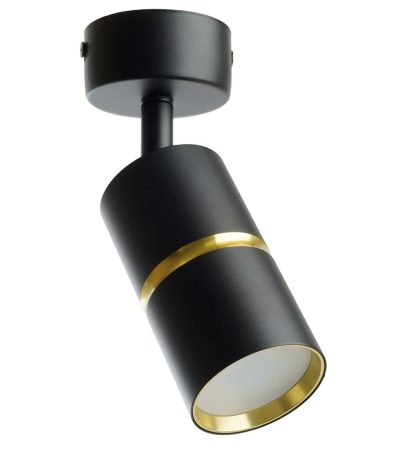 Настенно-потолочный светильник Feron ML1861 ZEN 48641