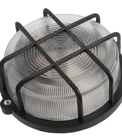 Настенно-потолочный светильник General НПП 03-100-005.04 437850