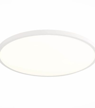 Настенно-потолочный светильник ST Luce ST601.542.48