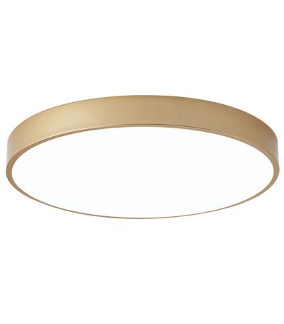 Настенно-потолочный светильник TopDecor Union P2 33