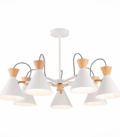 Потолочная люстра Evoluce Modica SLE125102-07