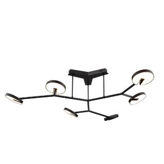 Потолочная люстра Favourite Paritet 4401-6C