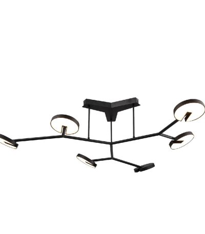 Потолочная люстра Favourite Paritet 4401-6C