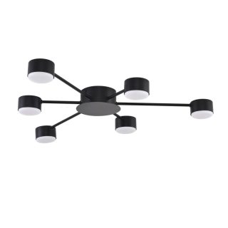 Потолочная люстра Lumion Comfi Torina 8344/6C