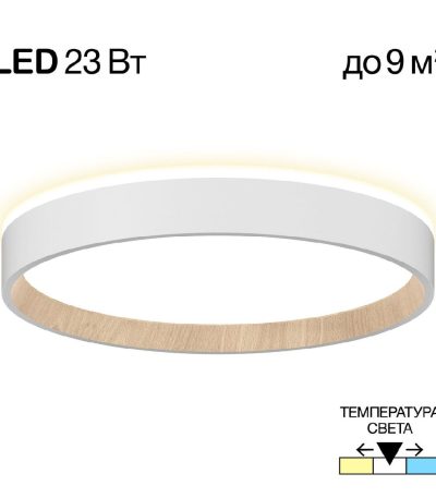 Потолочный светильник Citilux Etalon CL750240