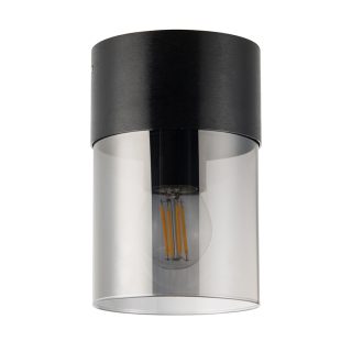 Потолочный светильник General Эйлайт GWL-E27-M-IP20 662859