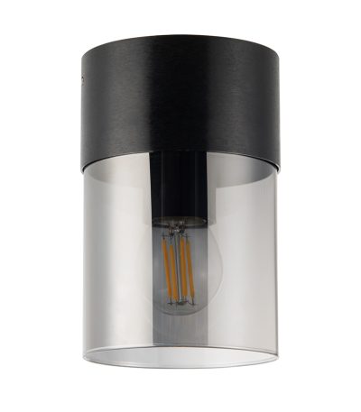 Потолочный светильник General Эйлайт GWL-E27-M-IP20 662859