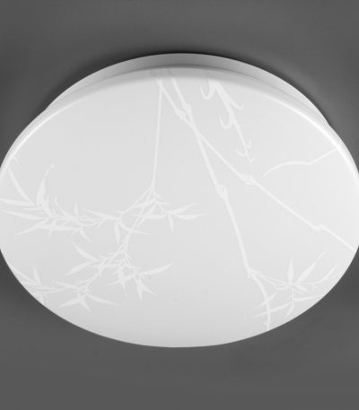 Потолочный светильник General Reed GSMCL-019-24 800258