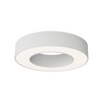 Потолочный светильник Maytoni Technical Lua C093CL-24W4K-W