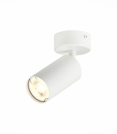 Потолочный светильник ST LUCE ST303.502.01