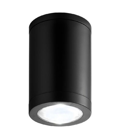 Потолочный уличный светильник Escada 30008 30008P/01