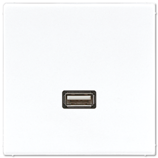 Розетка USB Jung MALS1122WW