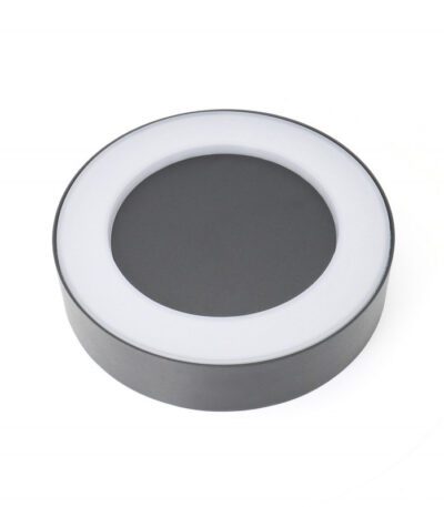 Светильник настенный Favourite Washer 2865-1W