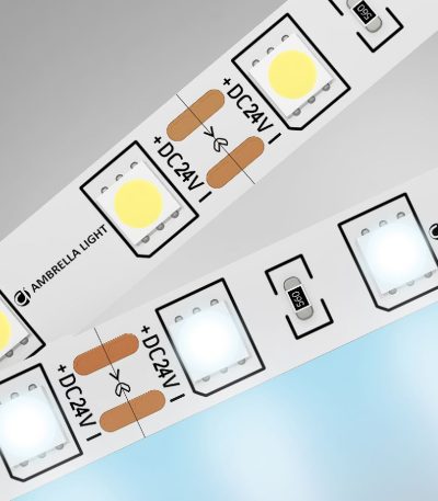 Светодиодная лента Ambrella Light Illumination 24В 5050 14,4Вт/м 6500K 5м IP20 GS4003