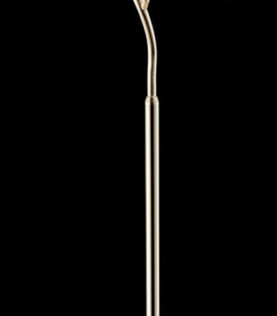 Торшер Wertmark Miranda WE123.05.305