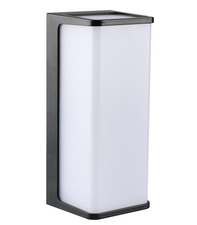 Уличный настенный светильник Arte Lamp Lancia A6419AL-1BK