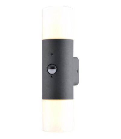 Уличный настенный светильник Escada 534/2A