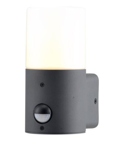 Уличный настенный светильник Escada 581/1A