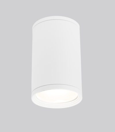 Уличный потолочный светильник Elektrostandard Light 4690389175893