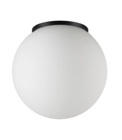 Уличный потолочный светильник Odeon Light Nature Viva 7124/1C