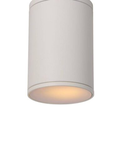 Уличный светильник Lucide Tubix 27870/01/31