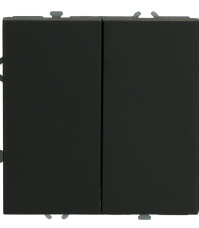 Выключатель 2-клавишный Stekker Эмили RSW10-5104-10ZK 50247